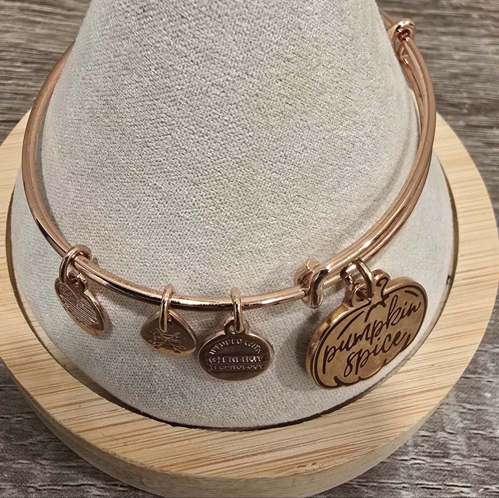 Alex and Ani Rose Gold Bracelet - Picture 2 of 2